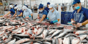 농수산물 기업 이익 분화