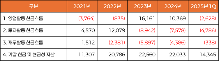 요약 현금흐름표 (단위: 억 동)