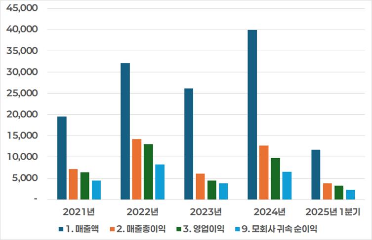 하이안 손익 계산서 차트