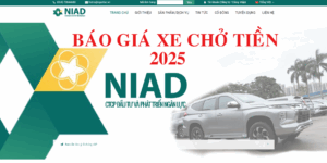 BIDV 관계사 NIAD
