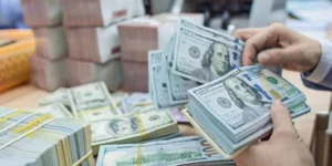 베트남 개인 간 달러 거래